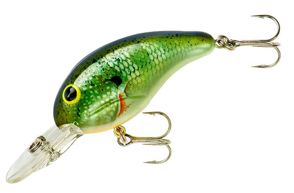 Bandit Dr 1/4 2" Blue Gill
