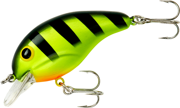 Bandit Dr 1/4 2" Chart/Black Stripe