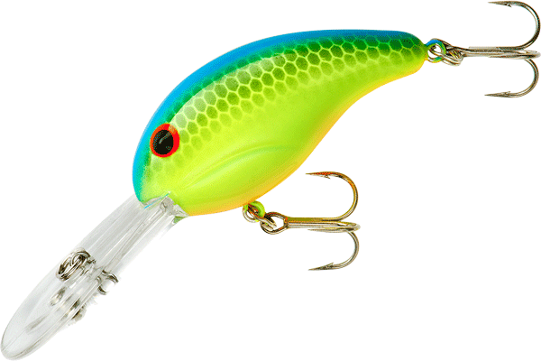 Bandit Dbl Dr 1/4 2" Cht Blue Back