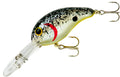 Bandit Dbl Dr 1/4 2" Splatter Back