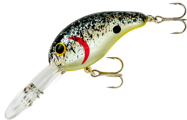 Bandit Dbl Dr 1/4 2" Splatter Back
