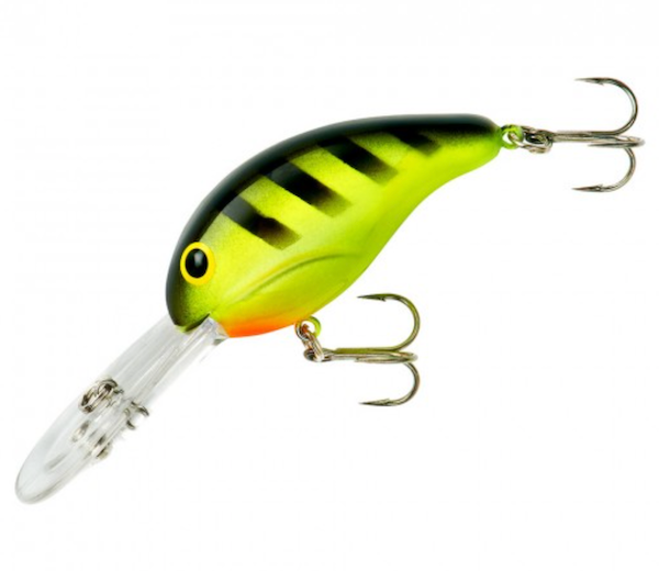Bandit Dr 3/8 2" Cht/Blk Stripe