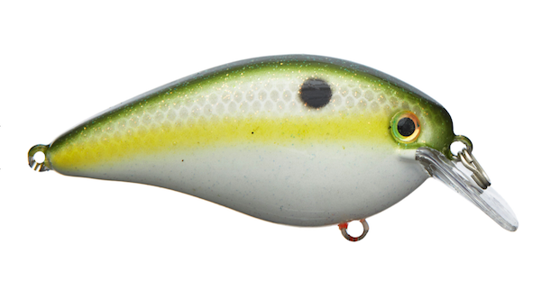 Sk Kvd Square Bill 1.5 Olive Shad