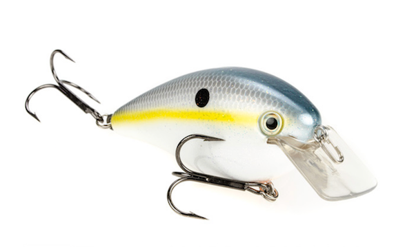 Sk Kvd 4.0 Magnum Sq Bill Sexy Shad