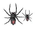 Lh Phantom Spider 2.25" Widow Maker