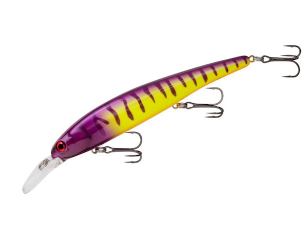 Bdt Shallow Walleye 5/8 Elec Zebra