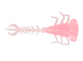 Zman Larvaz 1.75" Pink Glow 8 Pack
