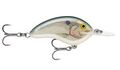 Ott'S Garage Deep Tiny 07 Shad