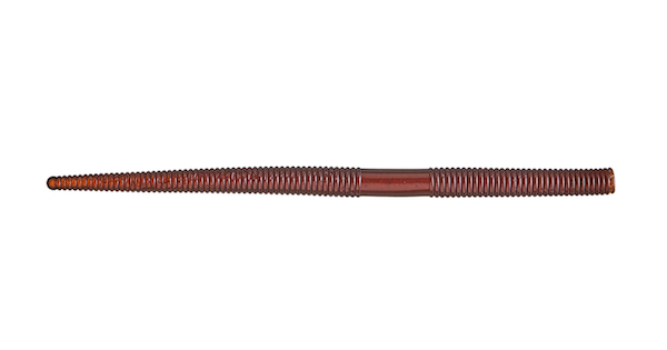 5" Ss Skinny Stick Scuppernong 10Pk