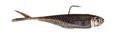 Zman Graph Shadz 3.8" 3/16Oz Goby
