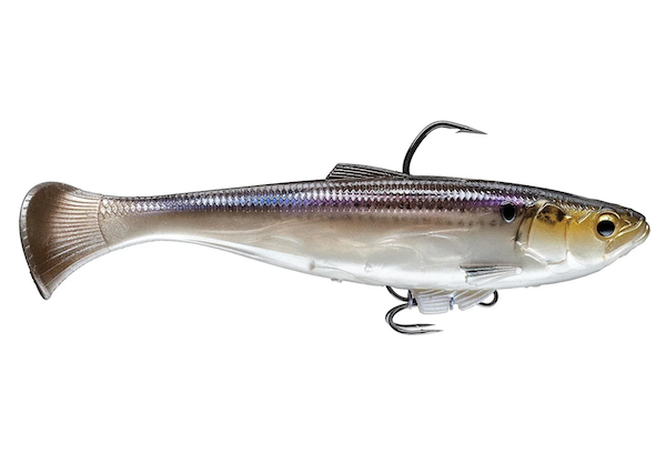 Zman Swag Lt 6" Gizzard Shad